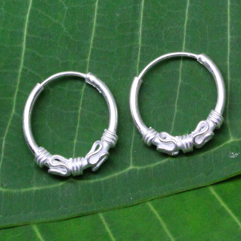 Silver Plated Hook Earrings for women