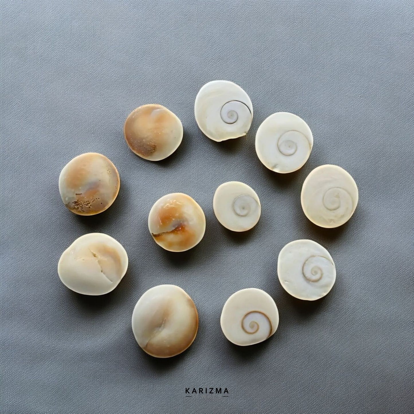 Natural White Round Gomti Chakra River Stones