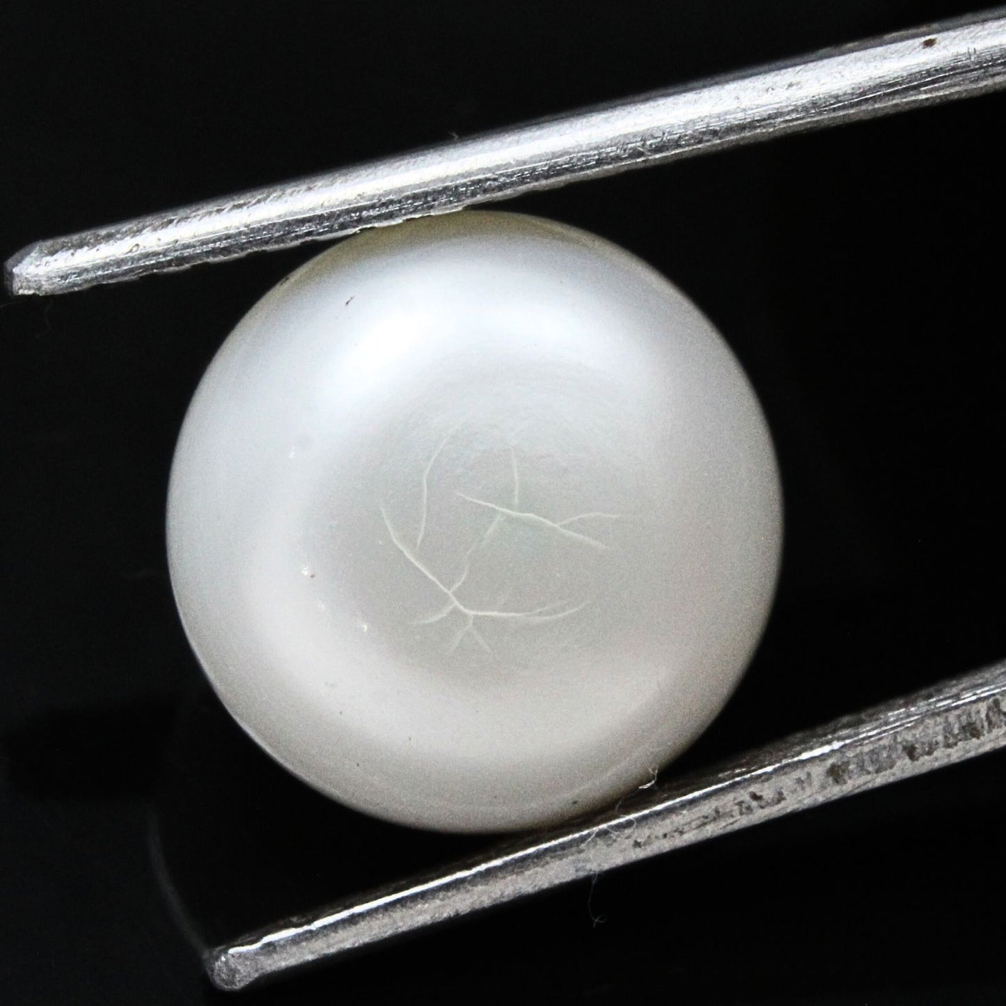 8.4Ct Natural Gemstone Real White Pearl for Moon