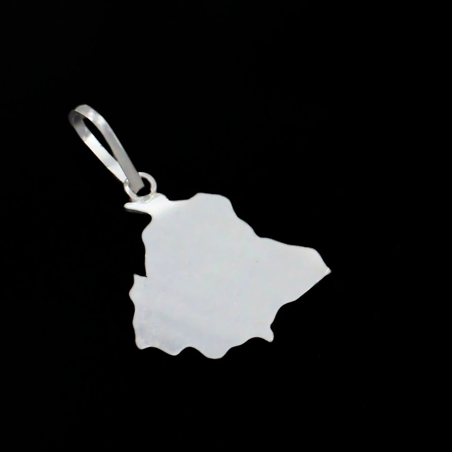 Real Silver Punjab Map with Districts in Punjabi Language Unisex pendant