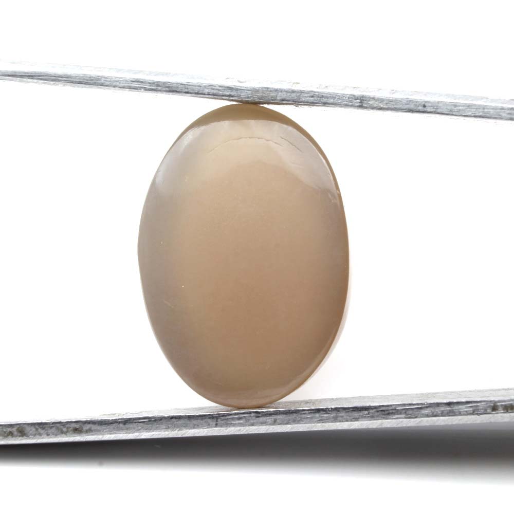 13.55Ct Natural Moonstone Oval Cabochon Fine Gemstone