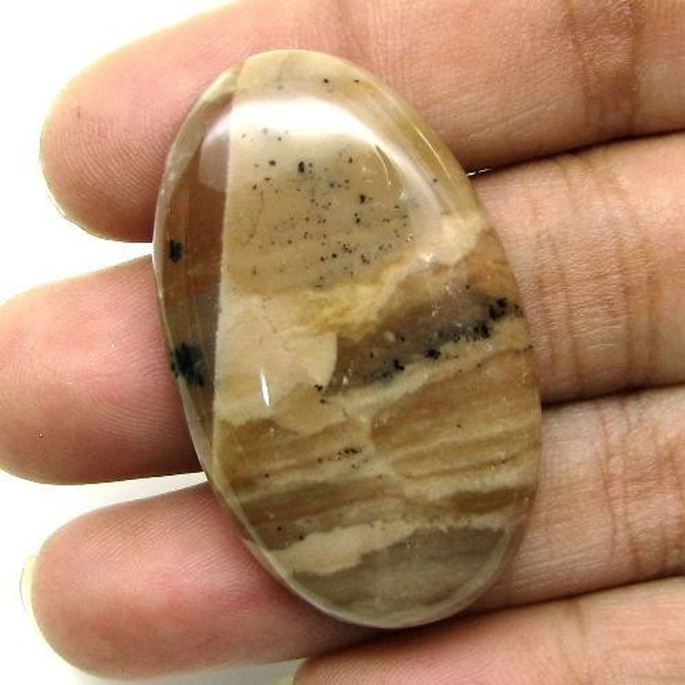 Selected 241.3Ct 5pc Wholesale lot Natural Picture Jasper Cabochon Gemstone