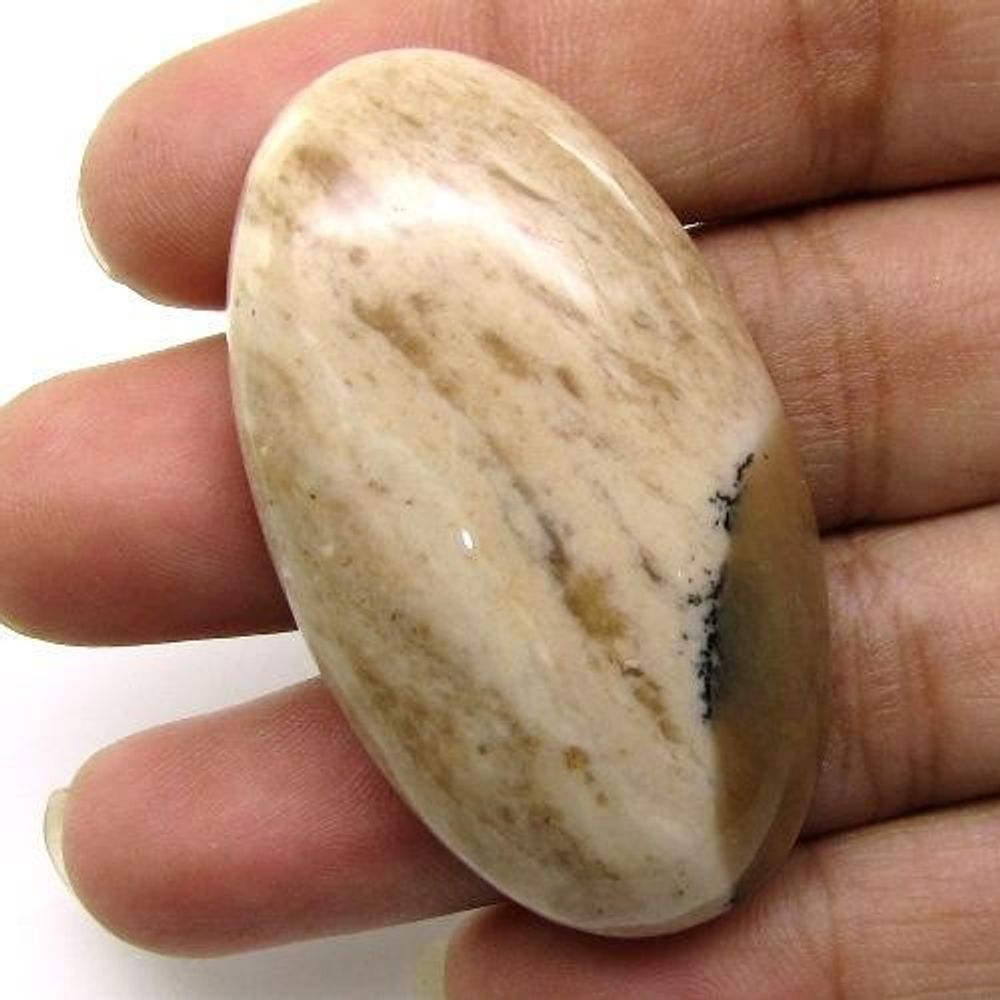 Selected 248Ct 4pc Wholesale lot Natural Picture Jasper Cabochon Gemstone