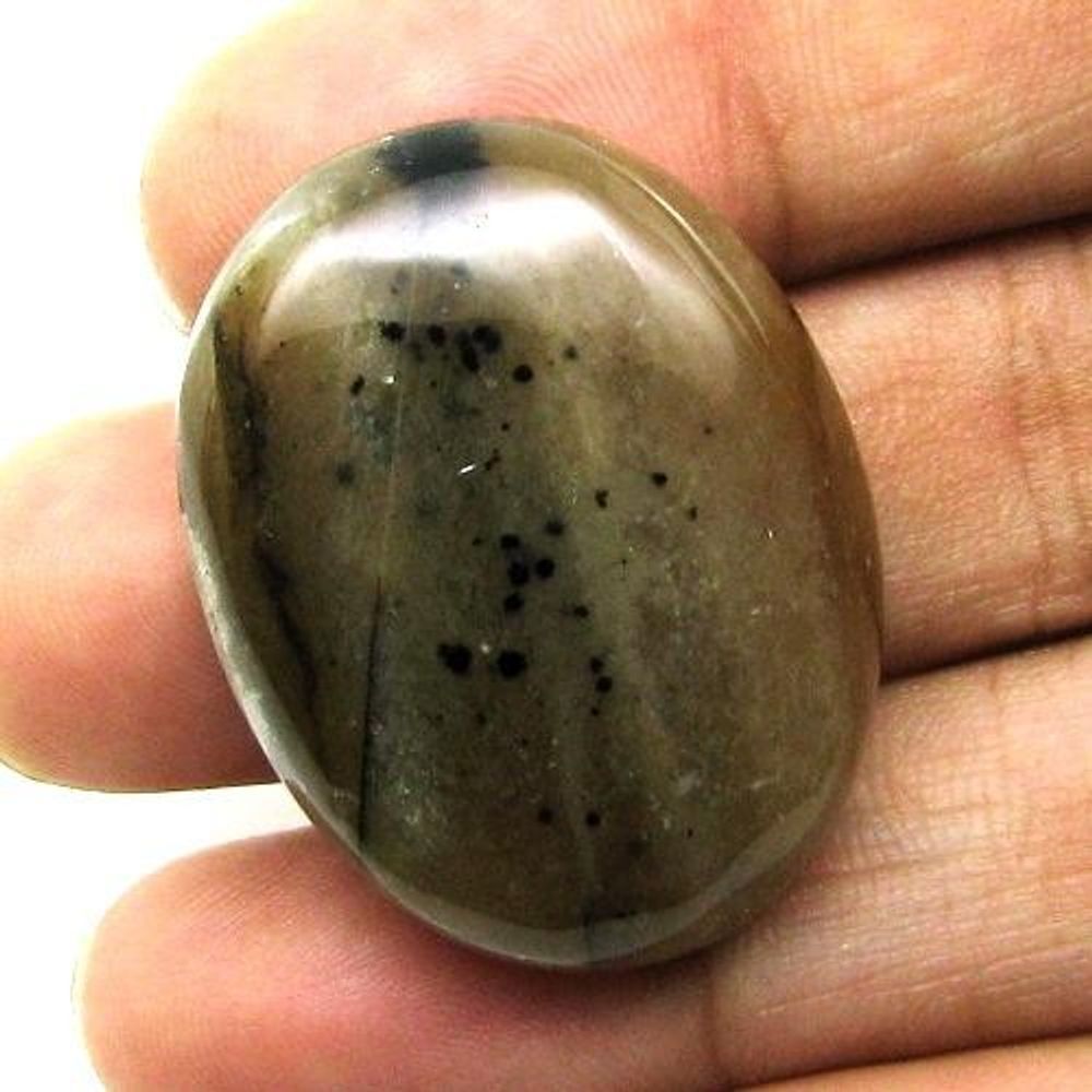 Selected 279.3Ct 5pc Wholesale lot Natural Picture Jasper Cabochon Gemstone
