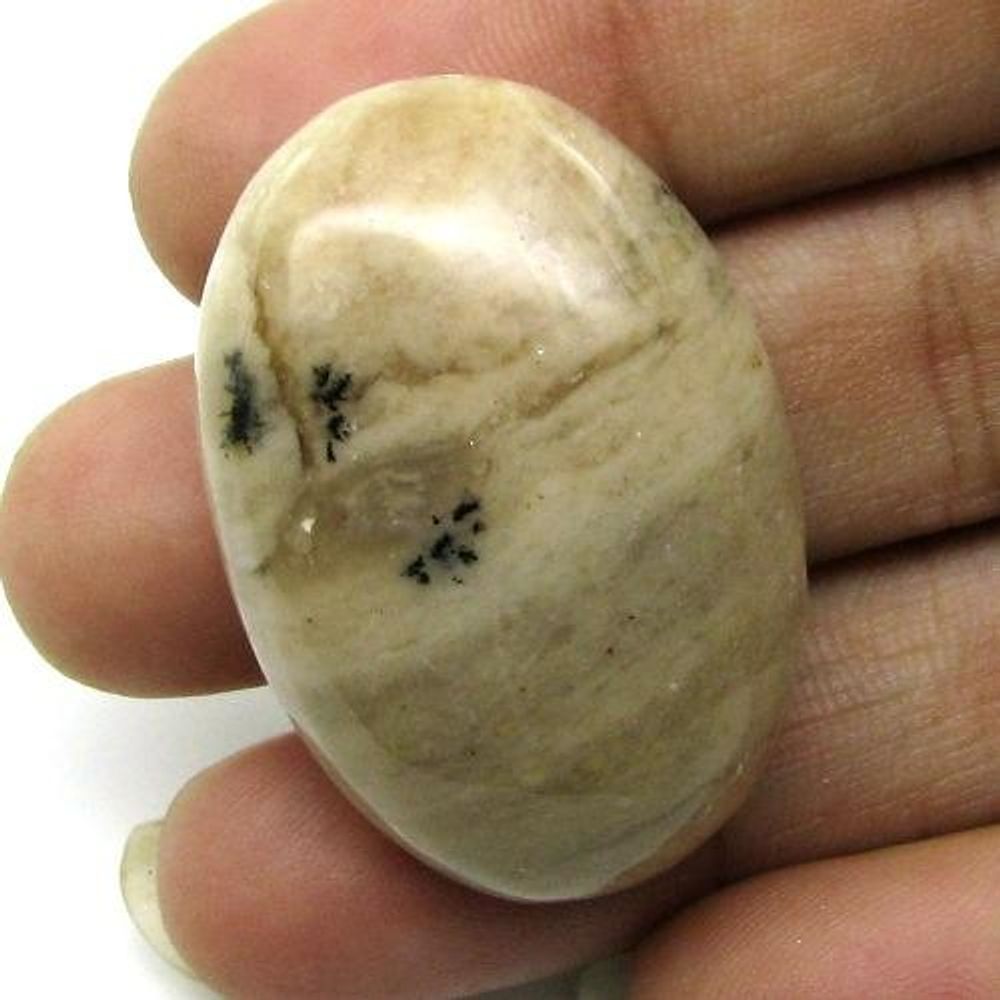 Selected 279.3Ct 5pc Wholesale lot Natural Picture Jasper Cabochon Gemstone