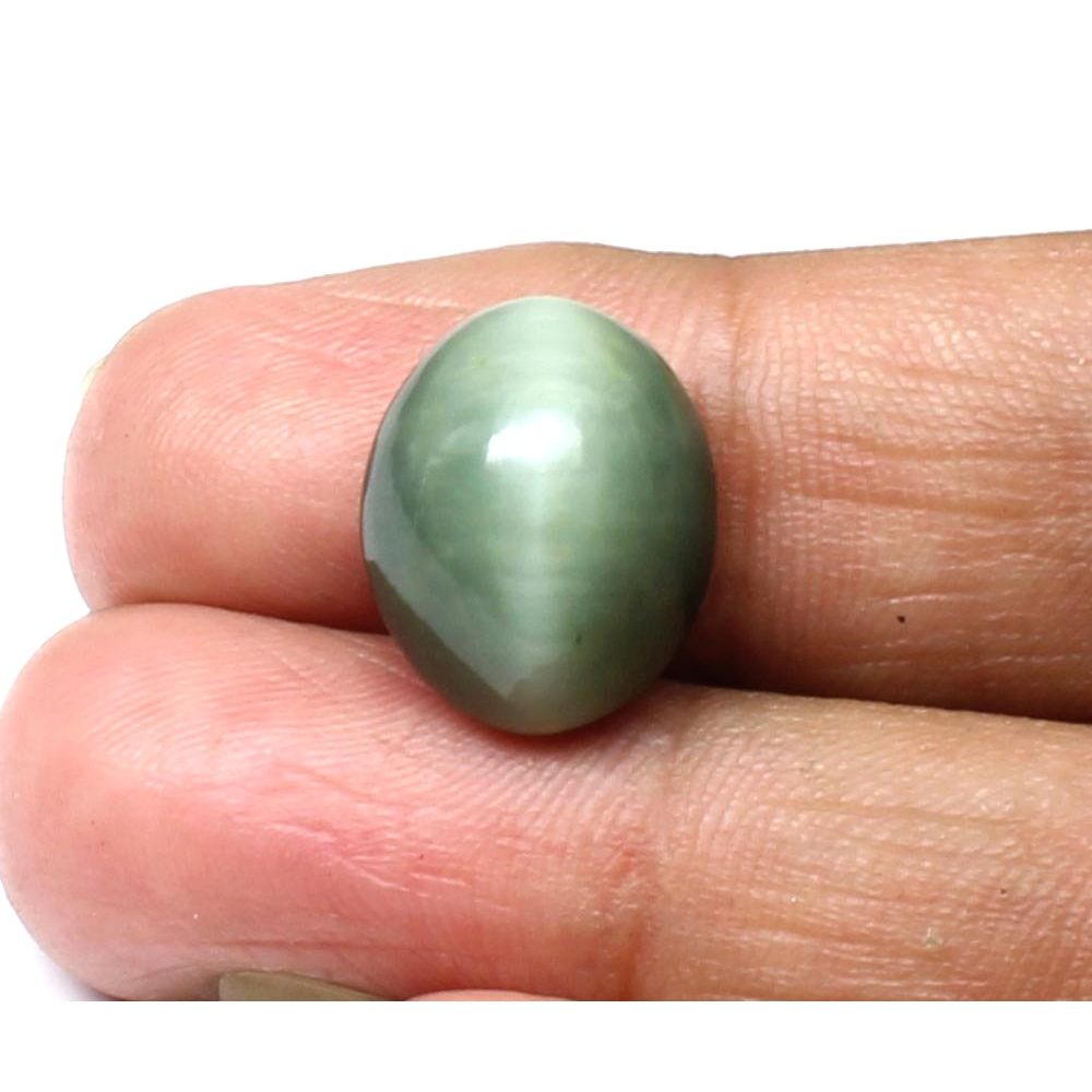 7.35Ct Natural Cat's Eye (Lehsunia) Astrology rashi Loose Gemstone for Ketu