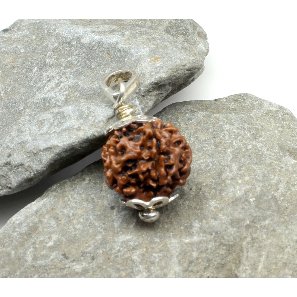 Pure Sterling Silver 6 Mukhi Rudraksha Pendant