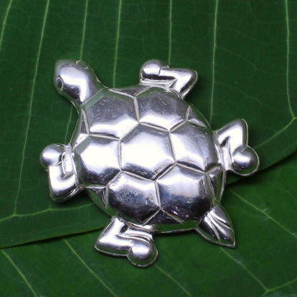 Pure Silver Tortoise turtle for Vastu and red book remedies