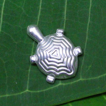 Pure Silver Tortoise turtle for Vastu and red book remedies