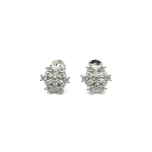 925 Sterling Silver CZ Set In Platinum Finish Earring
