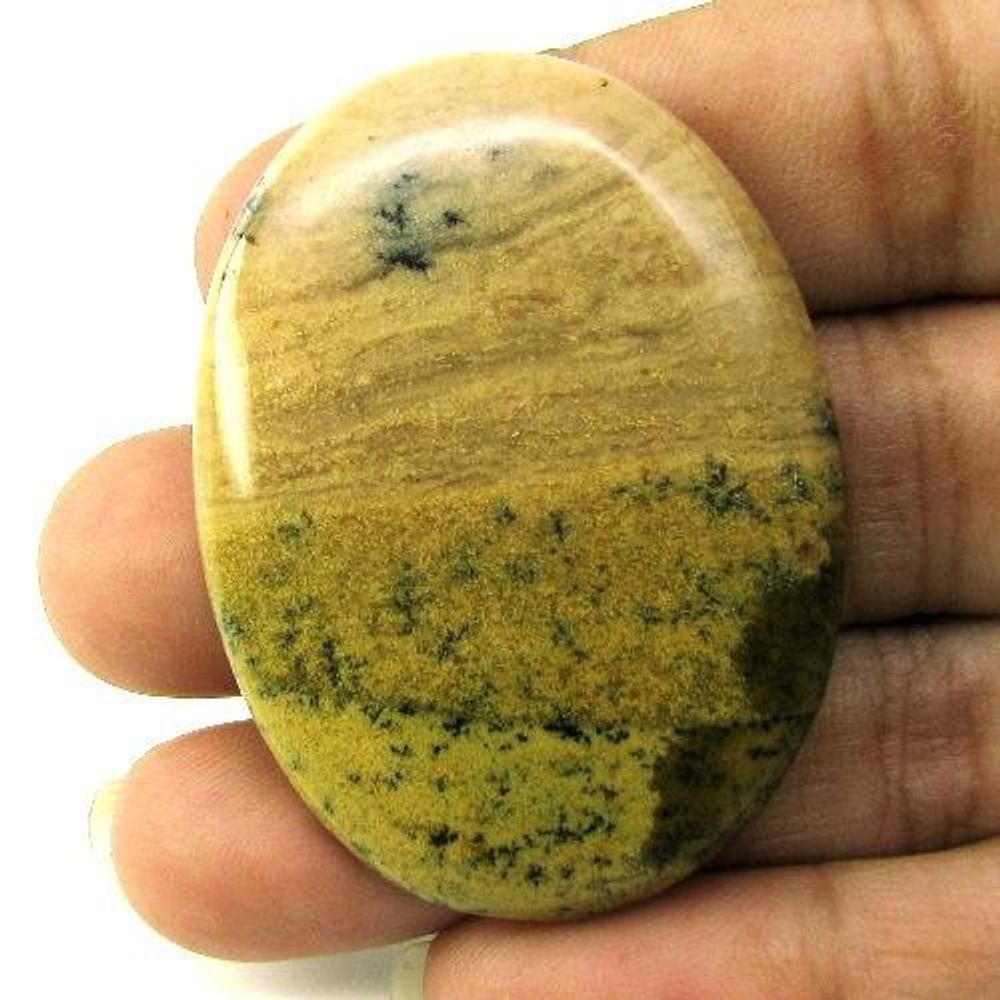 Selected 218.9Ct 4pc Wholesale lot Natural Picture Jasper Cabochon Gemstone