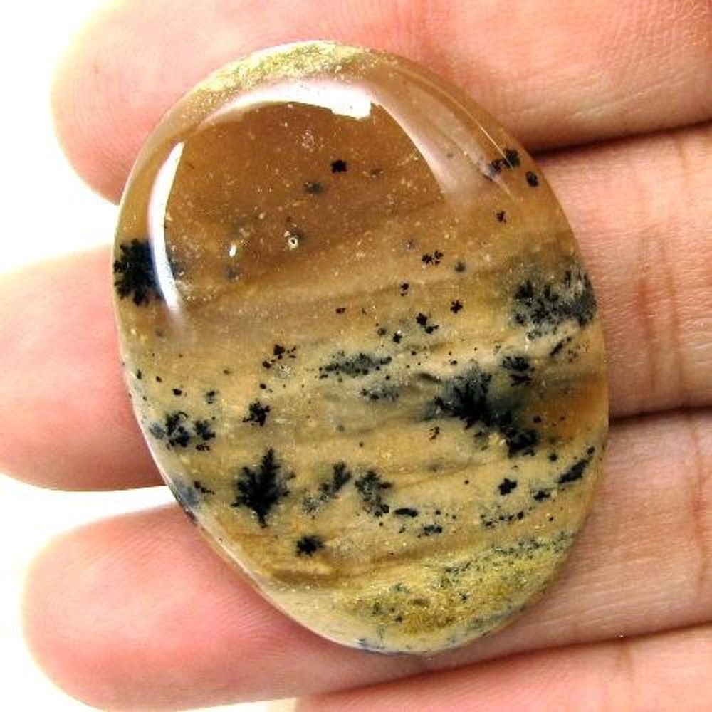 Selected 299Ct 5pc Wholesale lot Natural Picture Jasper Cabochon Gemstone