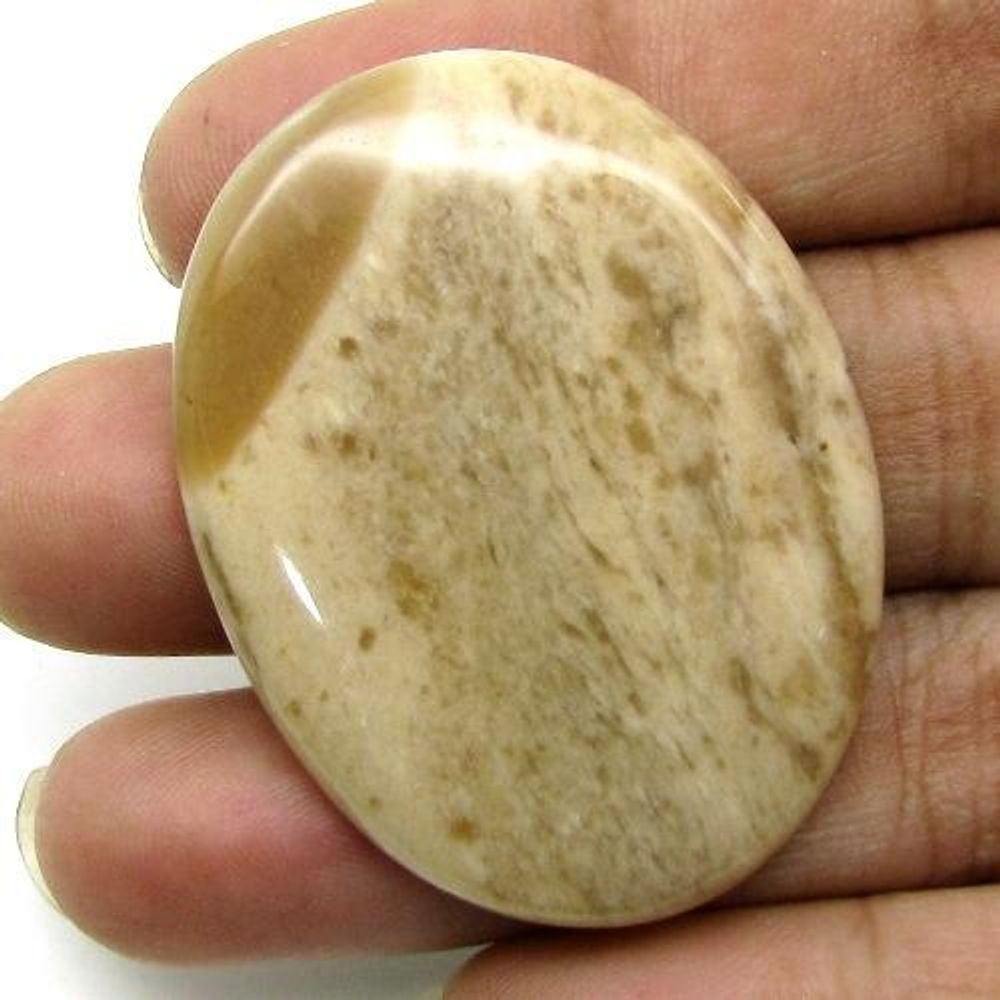 Selected 241.3Ct 5pc Wholesale lot Natural Picture Jasper Cabochon Gemstone