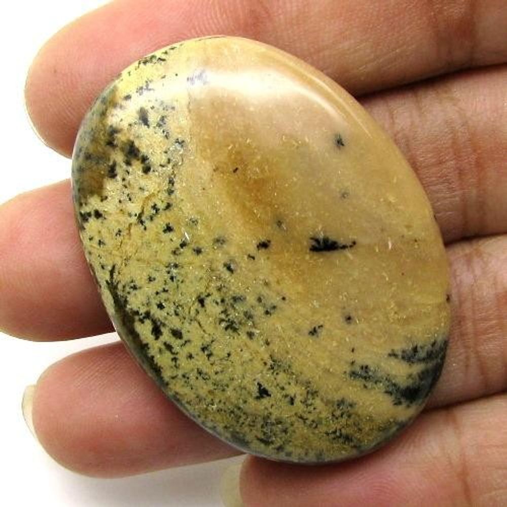 Selected 248Ct 4pc Wholesale lot Natural Picture Jasper Cabochon Gemstone