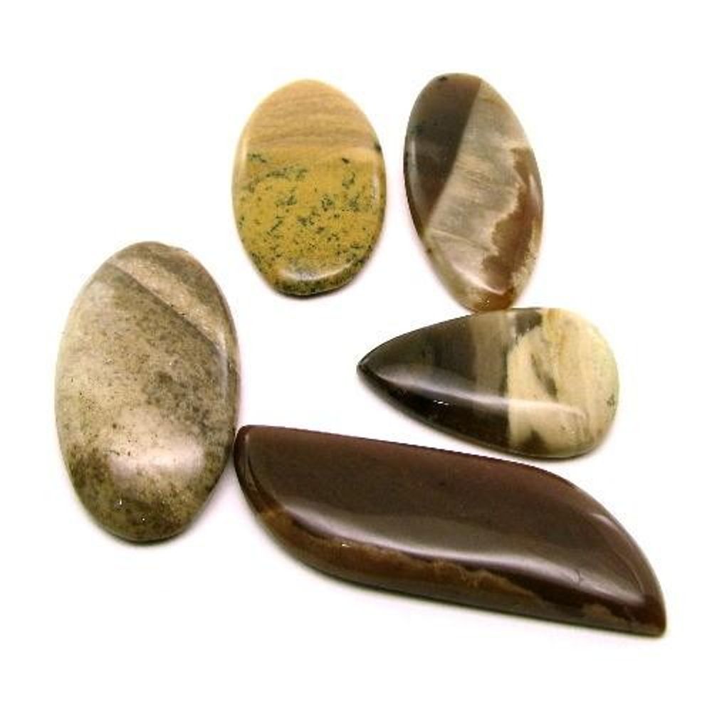 Selected-200.9Ct-5pc-Wholesale-lot-Natural-Picture-Jasper-Cabochon-Gemstone