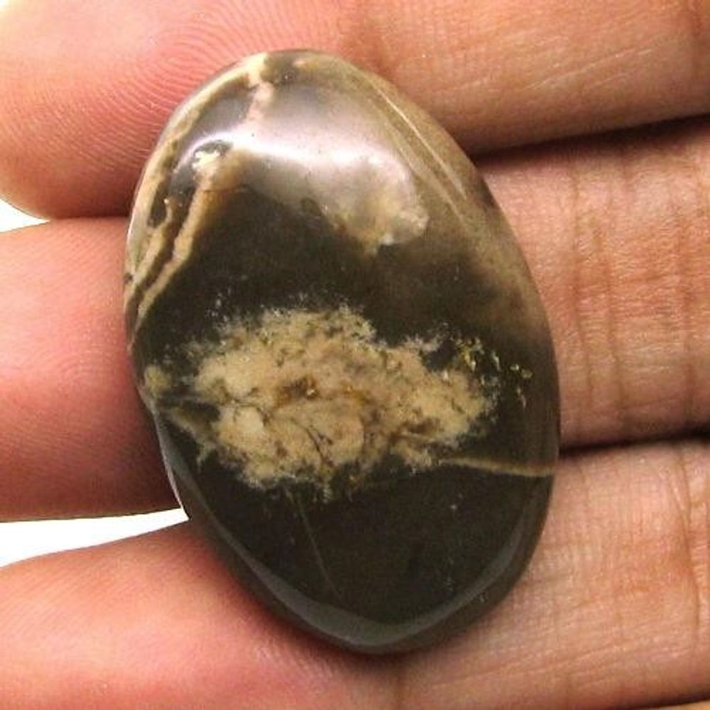 Selected 197.9Ct 6pc Wholesale lot Natural Picture Jasper Cabochon Gemstone