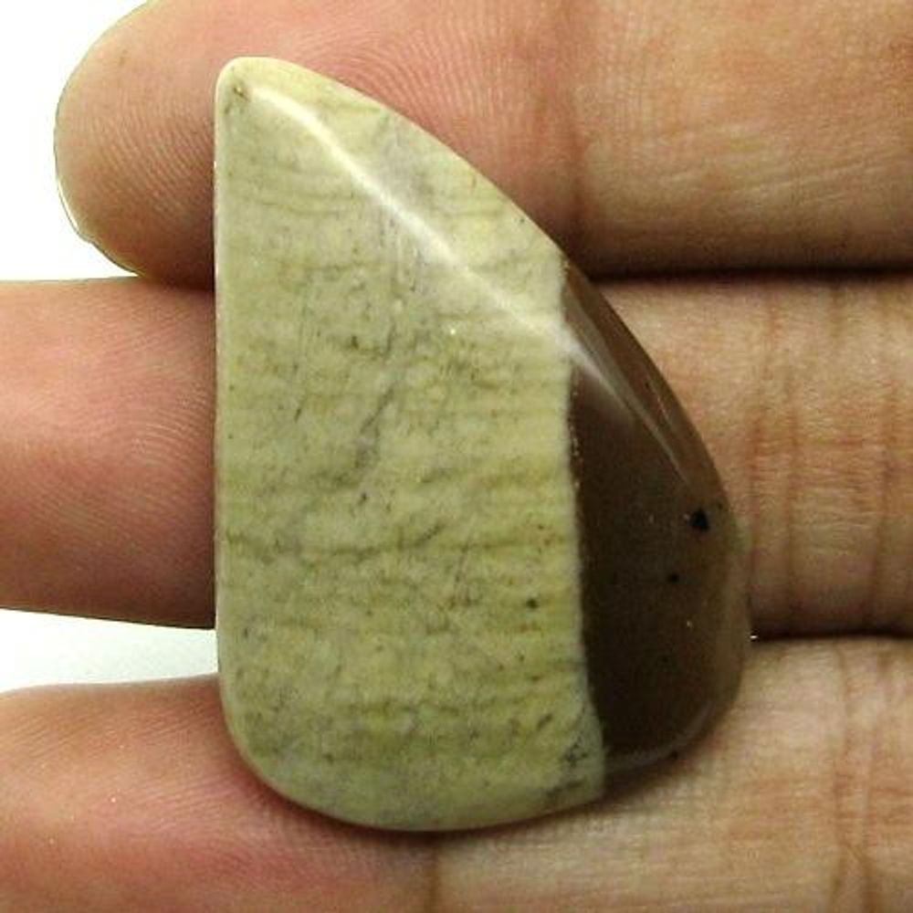 Selected 256Ct 5pc Wholesale lot Natural Brown Jasper Cabochon Gemstone