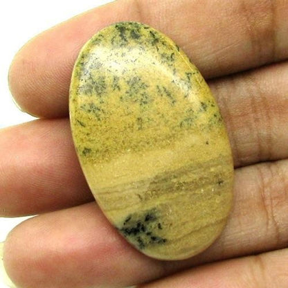 Selected 218Ct 5pc Wholesale lot Natural Picture Jasper Cabochon Gemstone