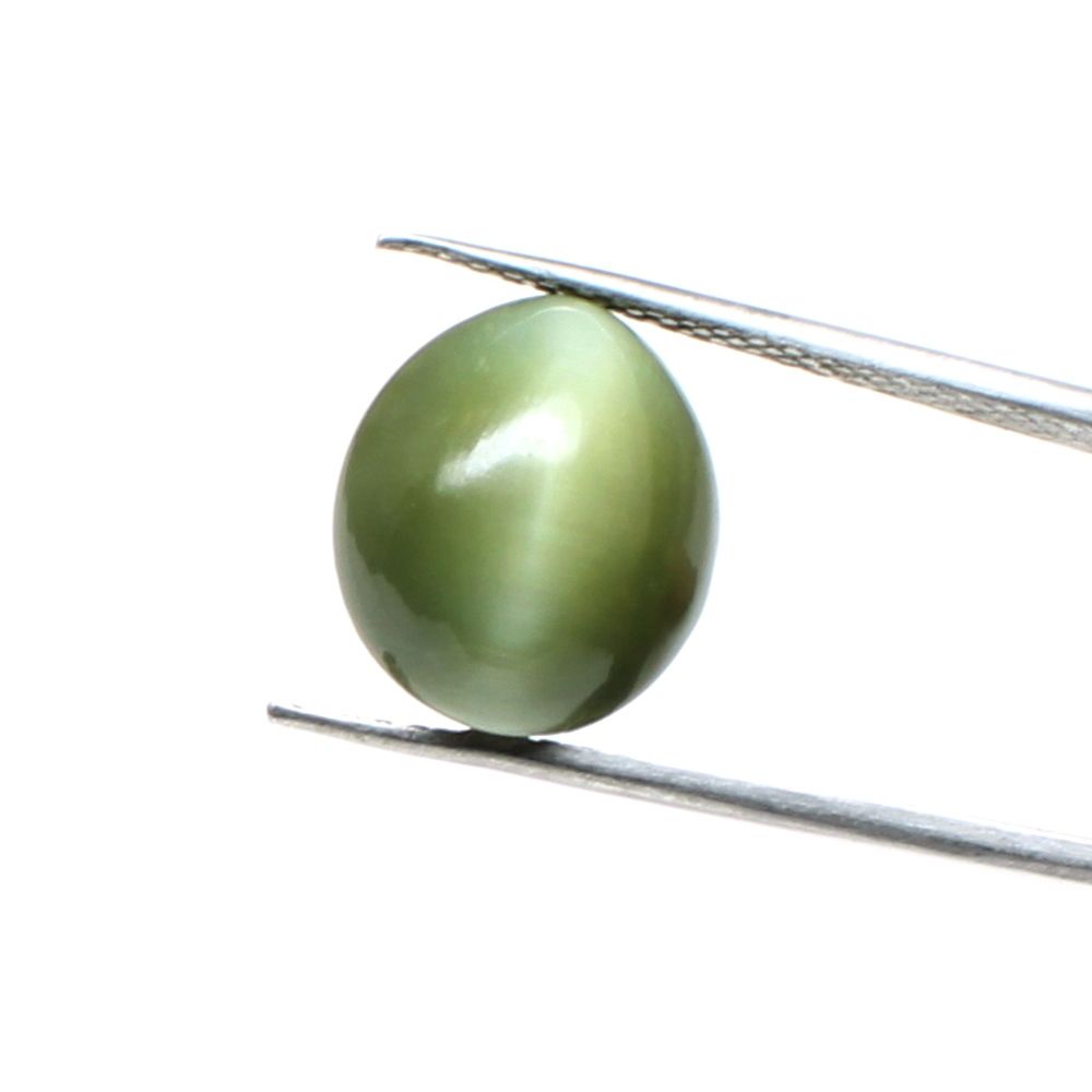 7.10Ct Natural Cat's Eye (Lehsunia) Astrology rashi Loose Gemstone for Ketu