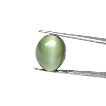 8.90Ct Natural Cat's Eye (Lehsunia) Astrology rashi Loose Gemstone for Ketu