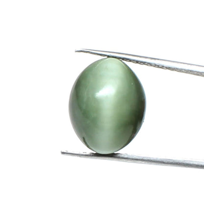7.80Ct Natural Cat's Eye (Lehsunia) Astrology rashi Loose Gemstone for Ketu
