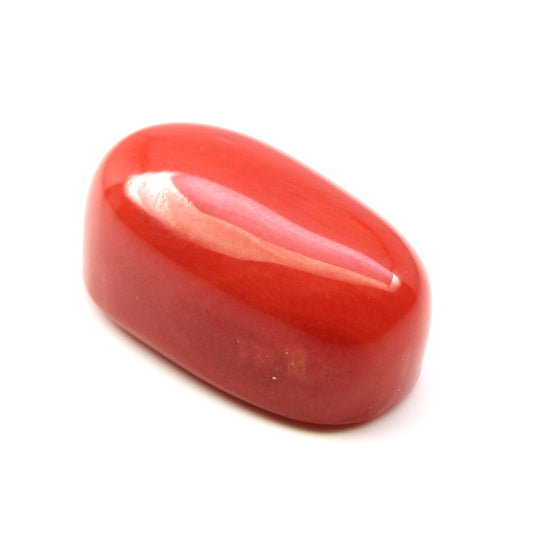 CERTIFIED Top A+ 100% Large 9.48Ct Natural Real Red Italian Coral (Moonga) Gems