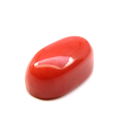 CERTIFIED Top A+ 100% Large 9.48Ct Natural Real Red Italian Coral (Moonga) Gems