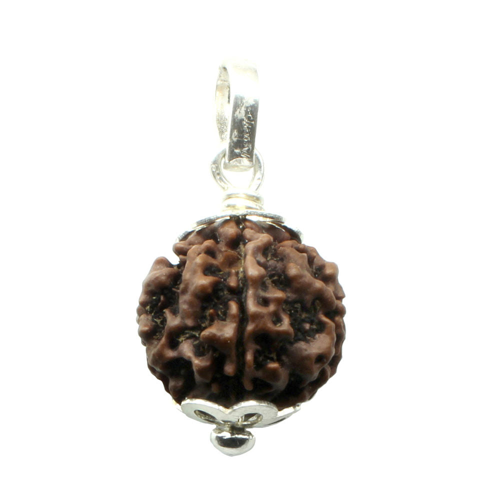 pure-sterling-silver-5-mukhi-natural-nepal-rudraksha-holi-pendant