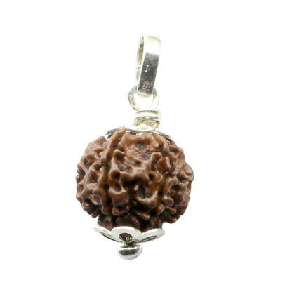 Pure Sterling Silver 6 Mukhi Rudraksha Pendant