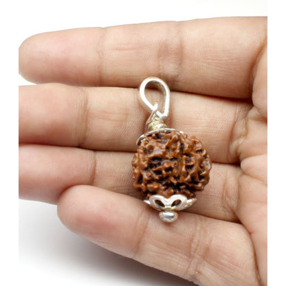 pure-sterling-silver-6-mukhi-natural-nepal-rudraksha-holi-pendant