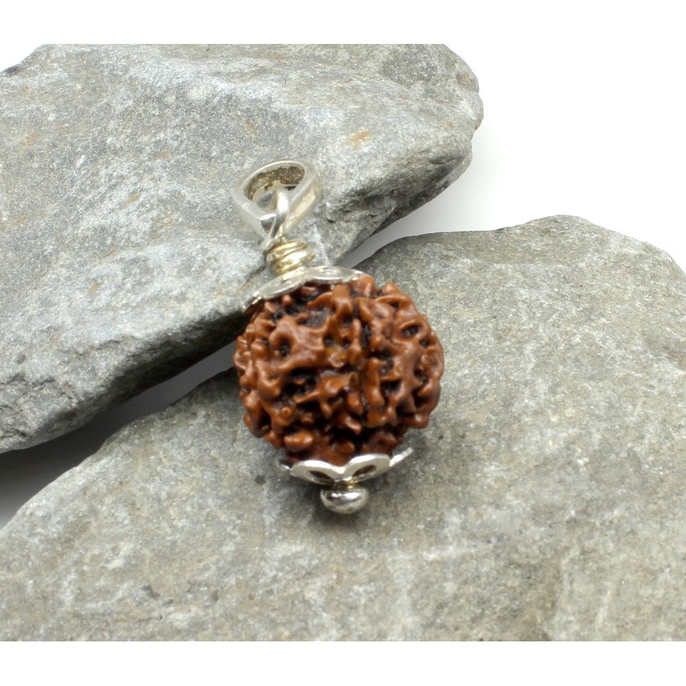 Pure Sterling Silver 6 Mukhi Rudraksha Pendant