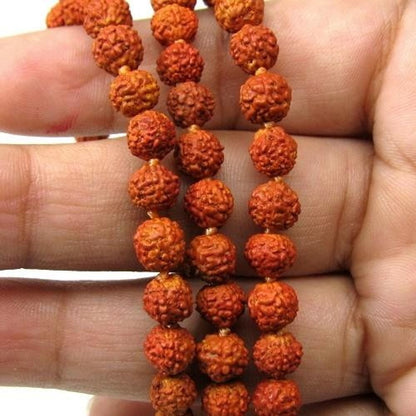 Natural Rudraksha Seeds Prayer Jap Mala for meditation