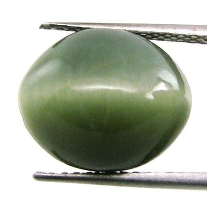 6.3Ct Natural CAT'S EYE (Lehsunia) Oval Cabochon Astro Gemstone for Ketu