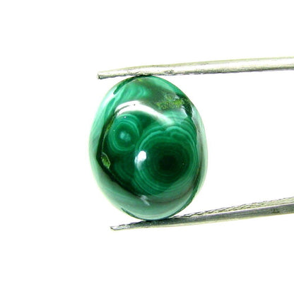 7.4Ct Natural Picture Malachite Oval Cabochon Gemstone